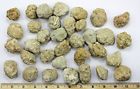 20 Byogeodeexsmall Break Your Own Geodes Hollow Small Crack 637769180300