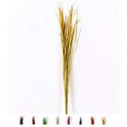 4250587683950 Dried Colored Natural Grass Bunch For Floor Vases