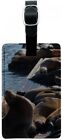 Leather.tag.rect.05189 Graphics And More San Francisco Seal Lions Pier 190479214531