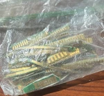 Printed Circuit Board Pcb Edge Connector Contacts, Mixed Green Pieces, Lot. Fixed Price $20.00.