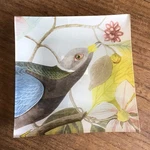 Botanical John James Audubon Birds Of America Decorative Glass Tray (8 X8 ). Fixed Price $65.00.