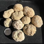 Lot Of 10 Small Indiana Whole Geodes Collected Quartz Fossils Crack Your Own!. Fixed Price $12.50.