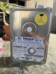 Vintage Maxtor - 40GB Ide 3.5 Desktop Hdd Model # 94098U8. Fixed Price $135.99.