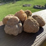 Lot Of 6 Small Indiana Whole Geodes Collected Quartz Fossils Crack Your Own!. Fixed Price $6.99.